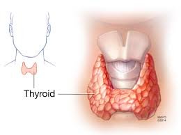 Thyroid Dietitians in dadar Mumbai