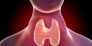 Thyroid Dietitians in Khar Mumbai